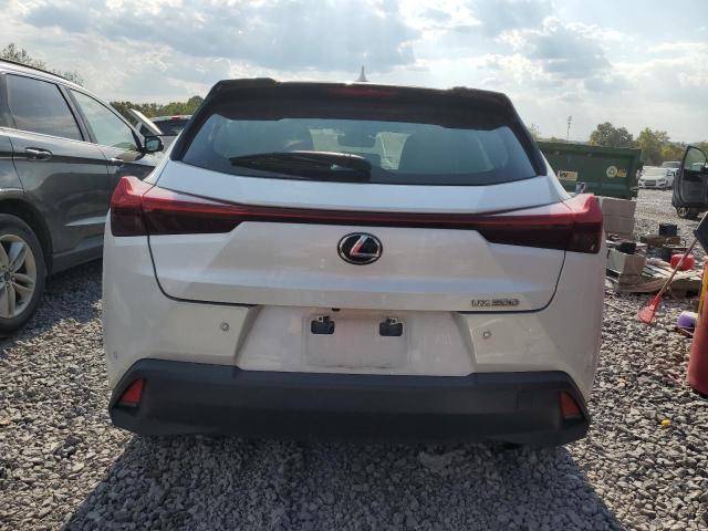 Photo 6 from auction – 2019 LEXUS UX 200 with VIN JTHY3JBH6K2019953