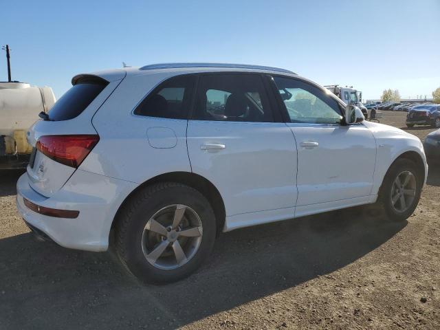 Photo 3 from auction – 2013 AUDI Q5 PREMIUM with VIN WA1MFCFP9DA005259