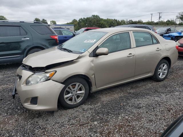 TOYOTA COROLLA BA 2010 with VIN 1NXBU4EE0AZ175783 - Photo from auction