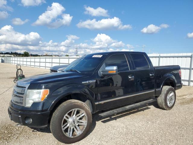 FORD F150 SUPER 2009 with VIN 1FTPW14V69FA40425 - Photo from auction