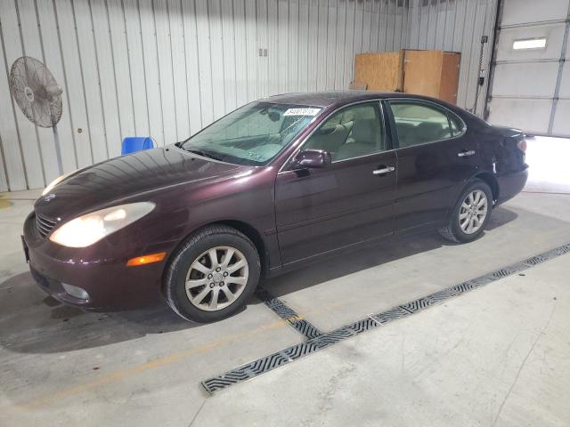 LEXUS ES 330 2004 with VIN JTHBA30G545025519 - Photo from auction