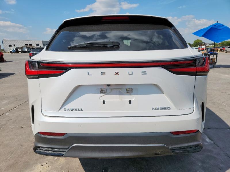 Photo 6 from auction – 2022 LEXUS NX 250 with VIN JTJGDCAZ7N5004846