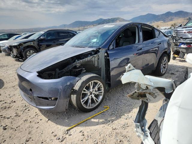 TESLA MODEL Y 2023 with VIN 7SAYGDEE8PA169334 - Photo from auction