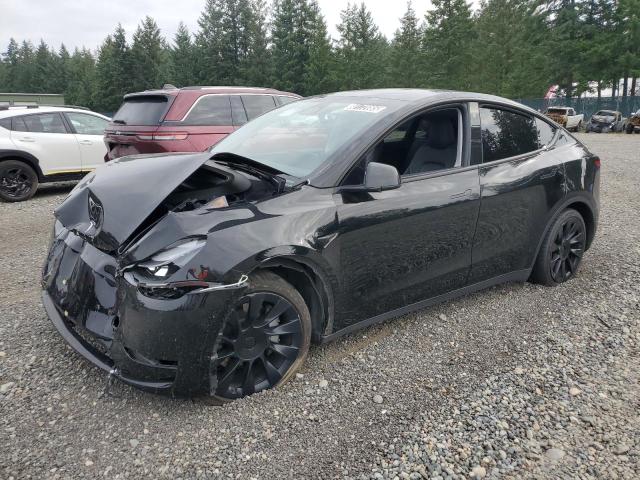 TESLA MODEL Y 2023 with VIN 7SAYGDEE4PF626174 - Photo from auction