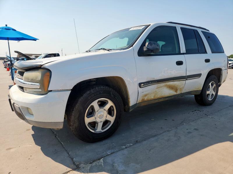 CHEVROLET TRAILBLAZE 2002 with VIN 1GNDS13S522322209 - Photo from auction