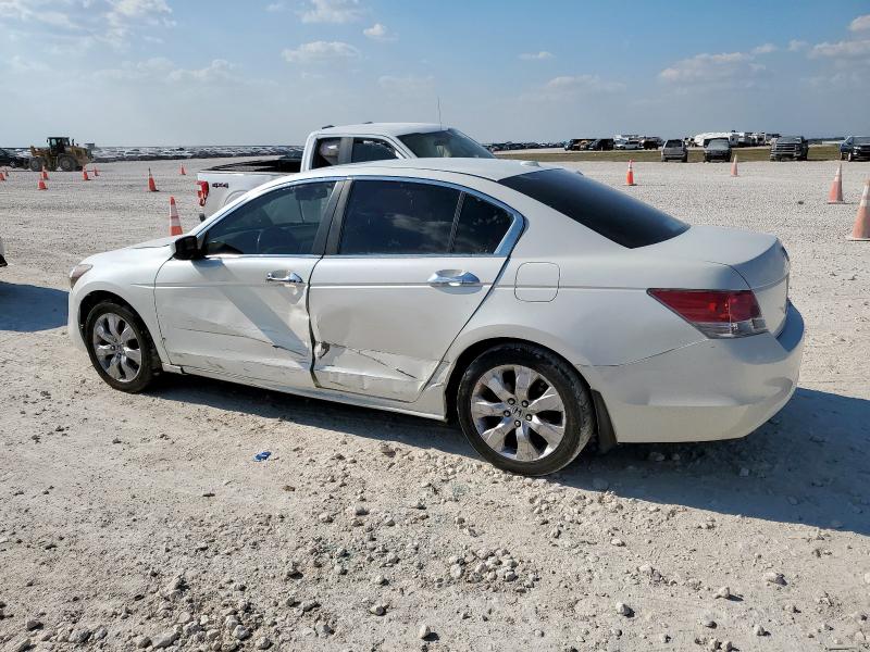 Photo 2 from auction – 2008 HONDA ACCORD EXL with VIN 1HGCP368X8A083595