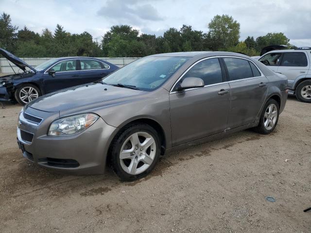 CHEVROLET MALIBU LS 2012 with VIN 1G1ZB5E09CF286657 - Photo from auction