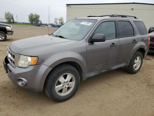 FORD ESCAPE XLT 2012 with VIN 1FMCU0D74CKA01164 - Photo from auction