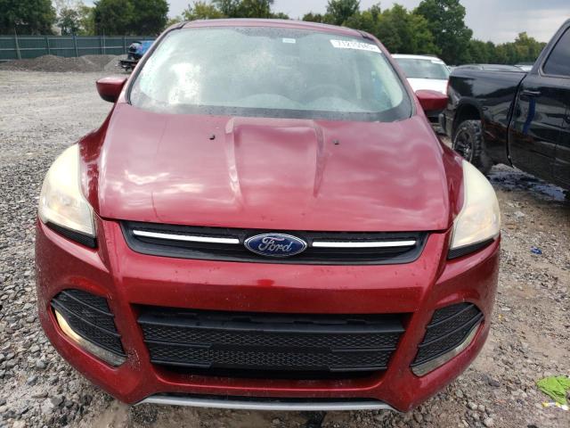 Photo 5 from auction – 2014 FORD ESCAPE SE with VIN 1FMCU0GX0EUA39770