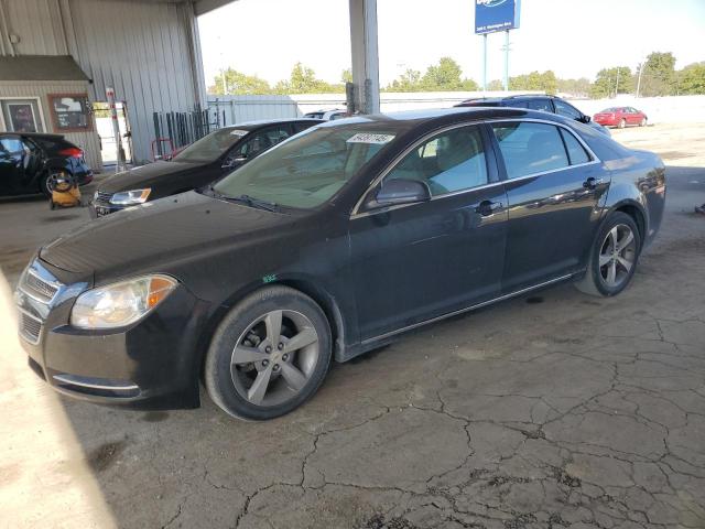 Photo 1 from auction – 2011 CHEVROLET MALIBU 1LT with VIN 1G1ZC5E15BF285042