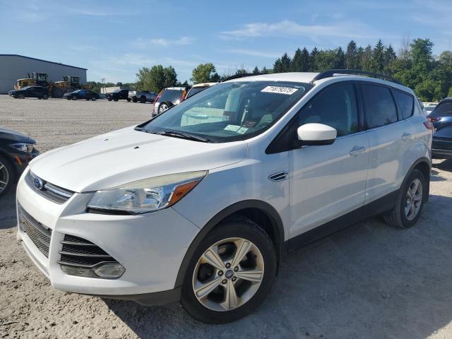 FORD ESCAPE SE 2014 with VIN 1FMCU9G96EUA49631 - Photo from auction