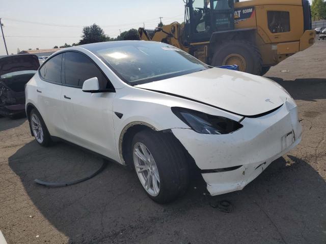 Photo 4 from auction – 2023 TESLA MODEL Y with VIN 7SAYGAEE0PF785918