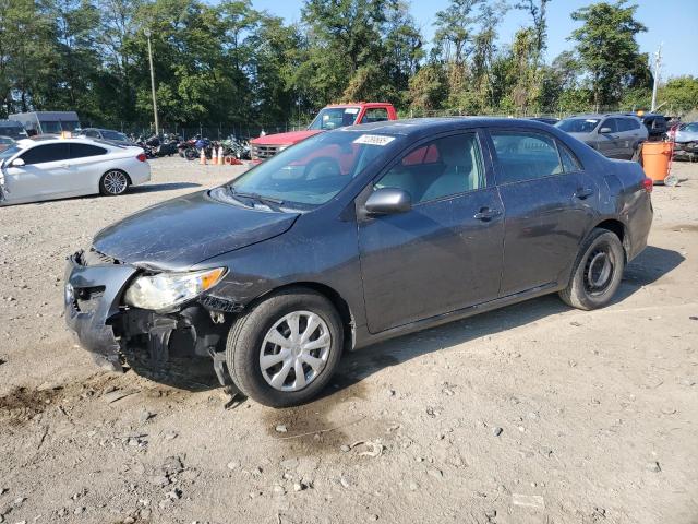 TOYOTA COROLLA BA 2010 with VIN 2T1BU4EE5AC256683 - Photo from auction
