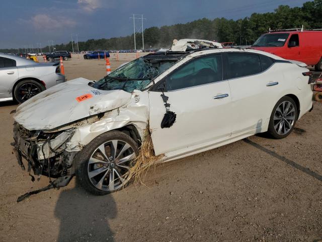 NISS MAXIMA PLATINUM 2021 with VIN 1N4AA6FV9MC512101 - Photo from auction