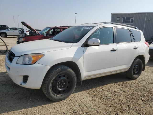 TOYOTA RAV4 2010 with VIN 2T3BK4DV6AW019536 - Photo from auction
