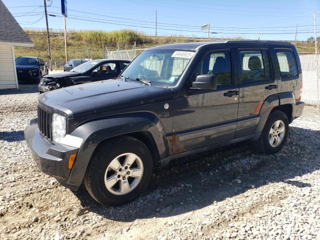 JEEP LIBERTY SP 2011 with VIN 1J4PN2GK6BW509538 - Photo from auction