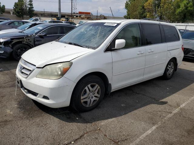 HONDA ODYSSEY EX 2007 with VIN 5FNRL38707B425120 - Photo from auction