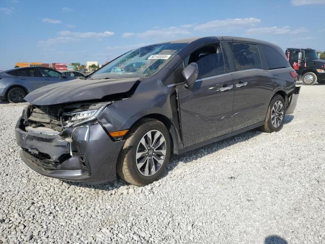 HONDA ODYSSEY EX 2022 with VIN 5FNRL6H79NB024258 - Photo from auction