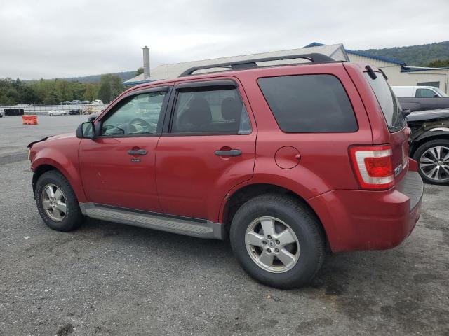 Photo 2 from auction – 2009 FORD ESCAPE XLT with VIN 1FMCU93G99KB85919