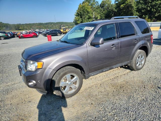 FORD ESCAPE LIM 2010 with VIN 1FMCU9EG5AKB10099 - Photo from auction