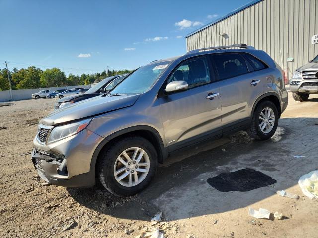 KIA SORENTO LX 2014 with VIN 5XYKTDA76EG548198 - Photo from auction
