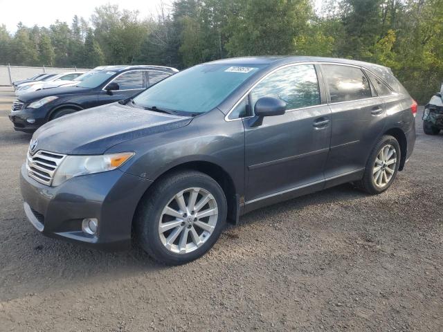 TOYOTA VENZA 2010 with VIN 4T3BA3BB7AU015792 - Photo from auction