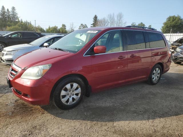 HONDA ODYSSEY EX 2006 with VIN 5FNRL38466B500486 - Photo from auction