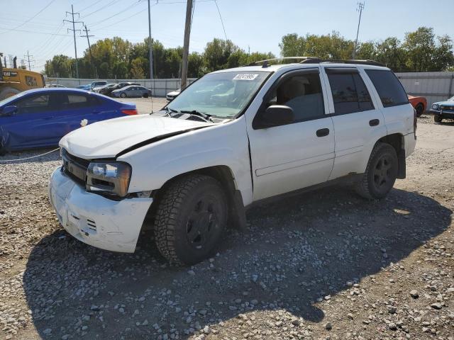 Photo 1 from auction – 2006 CHEVROLET TRAILBLAZE with VIN 1GNDT13S562254223