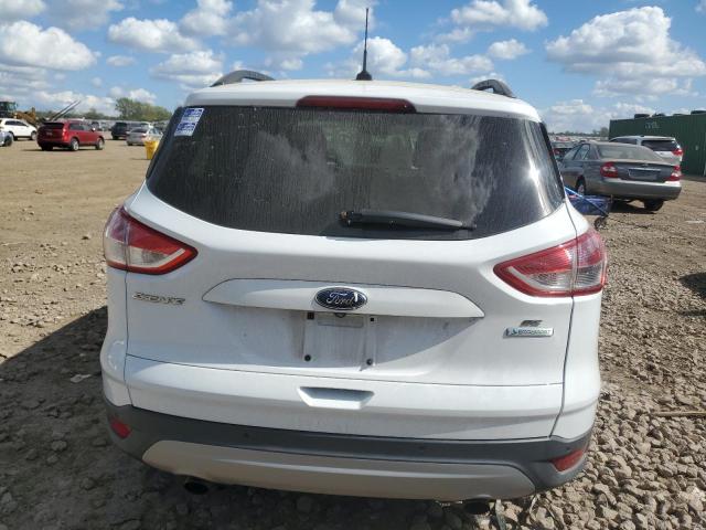 Photo 6 from auction – 2014 FORD ESCAPE SE with VIN 1FMCU0GX3EUA53940