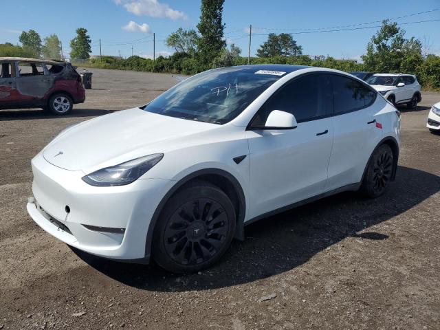 TESLA MODEL Y 2023 with VIN LRWYGDEE8PC229459 - Photo from auction