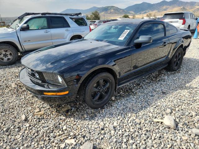 FORD MUSTANG 2007 with VIN 1ZVFT80N875243559 - Photo from auction