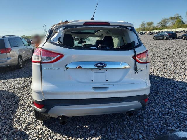 Photo 6 from auction – 2014 FORD ESCAPE TIT with VIN 1FMCU9J98EUE22824