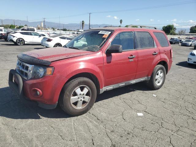FORD ESCAPE XLT 2011 with VIN 1FMCU0D72BKB84255 - Photo from auction