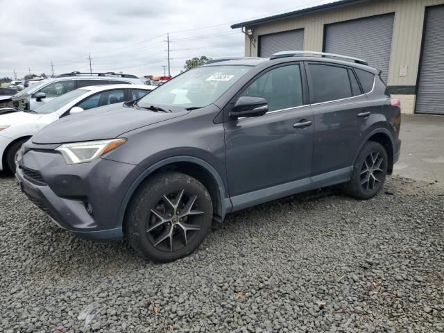 Photo 1 from auction – 2017 TOYOTA RAV4 SE with VIN 2T3JFREV5HW594958