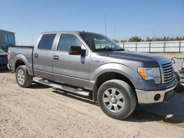 Photo 4 from auction – 2010 FORD F150 SUPER with VIN 1FTFW1EV9AFA38750