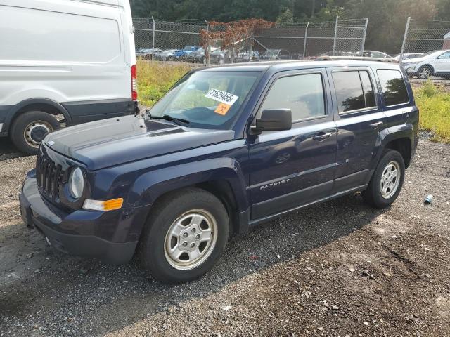 JEEP PATRIOT SP 2016 with VIN 1C4NJPBA5GD790612 - Photo from auction