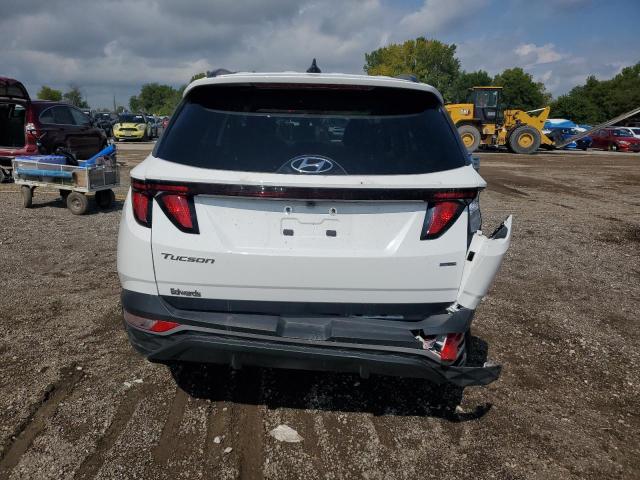 Photo 6 from auction – 2024 HYUNDAI TUCSON SEL with VIN 5NMJBCDE4RH401229