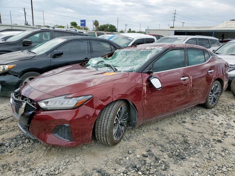 NISSAN MAXIMA SV 2021 with VIN 1N4AA6CV3MC502037 - Photo from auction