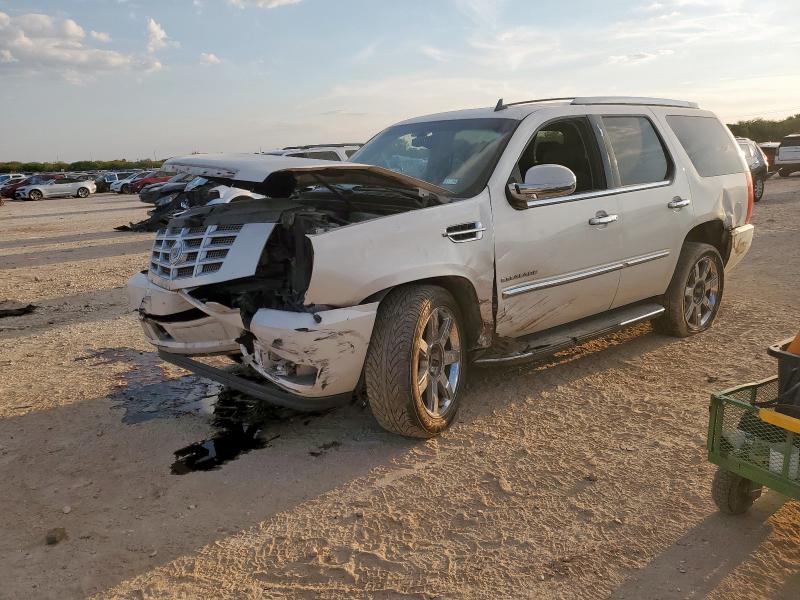CADILLAC ESCALADE L 2013 with VIN 1GYS3BEF2DR142631 - Photo from auction