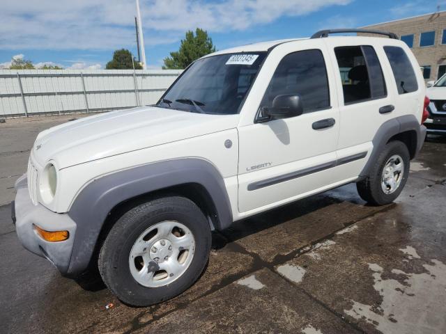JEEP LIBERTY SP 2004 with VIN 1J4GL48K24W266250 - Photo from auction