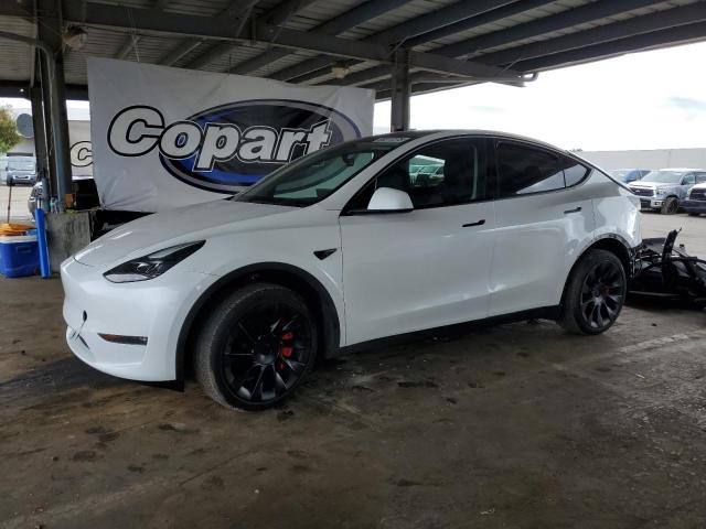 TESLA MODEL Y 2023 with VIN 7SAYGDEE6PF751368 - Photo from auction