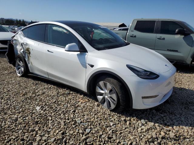 Photo 4 from auction – 2023 TESLA MODEL Y with VIN 7SAYGDEE0PA128681