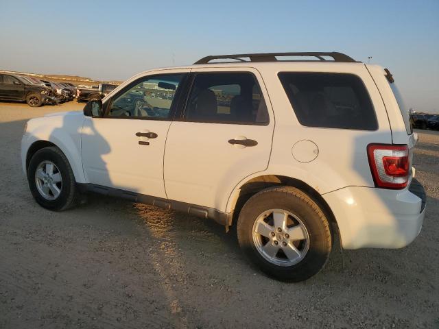 Photo 2 from auction – 2010 FORD ESCAPE XLT with VIN 1FMCU9D74AKC39839
