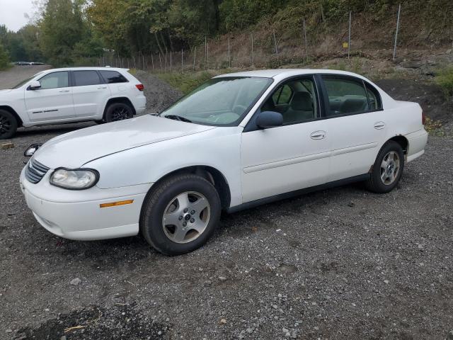 CHEVROLET CLASSIC 2005 with VIN 1G1ND52F35M236384 - Photo from auction