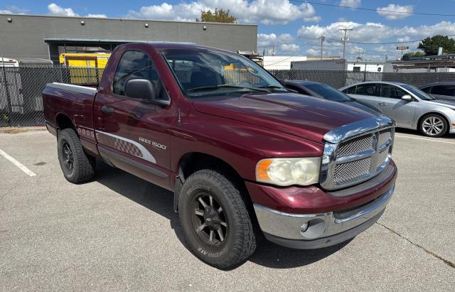 DODGE RAM 1500 2002 مع رقم تعريف المركبة 1D7HU16Z02J203606 - صورة من المزاد