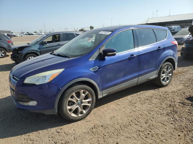 FORD ESCAPE SEL 2013 with VIN 1FMCU9H93DUC36676 - Photo from auction