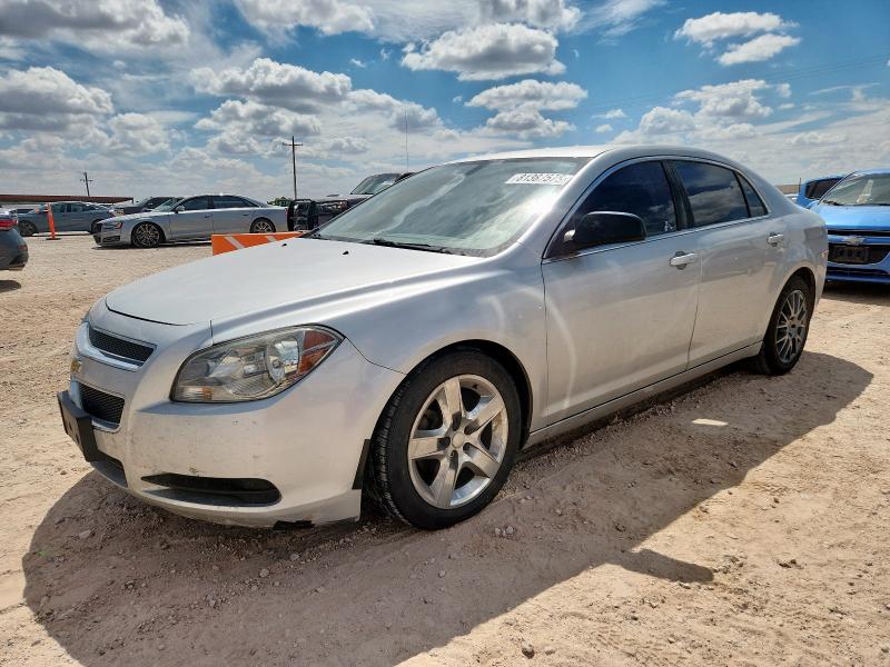 CHEVROLET MALIBU LS 2012 with VIN 1G1ZA5EU5CF203084 - Photo from auction