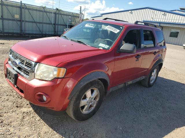 FORD ESCAPE XLT 2010 with VIN 1FMCU9D78AKB08798 - Photo from auction