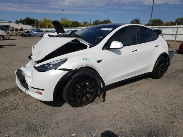 TESLA MODEL Y 2024 with VIN 7SAYGDEE0RF129349 - Photo from auction