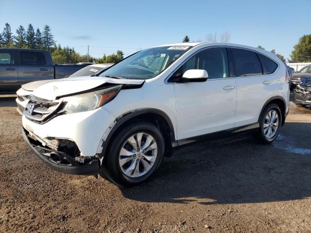 HONDA CR-V EX 2012 with VIN 2HKRM3H53CH002569 - Photo from auction